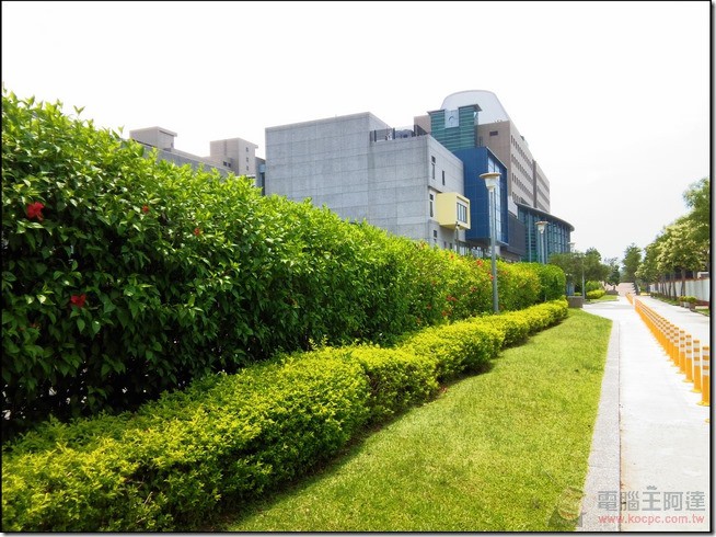 nEO_IMG_ASUS ZenPad 8.0 (3) nEO_IMG_ASUS ZenPad 8.0 (3)