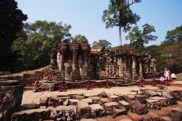 Elephant Terrace2.jpg Elephant Terrace2