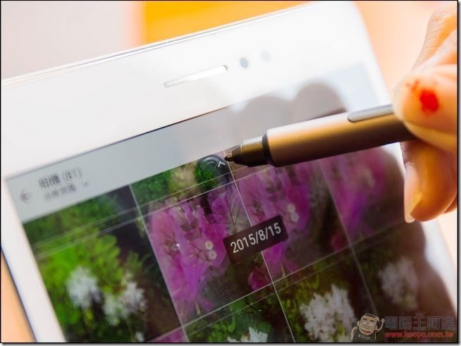 Z Stylus-14 Z Stylus-14