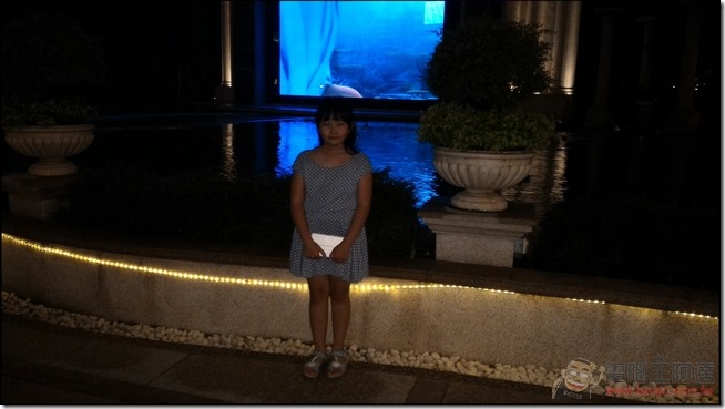 nEO_IMG_Zenflash-PIC-10 nEO_IMG_Zenflash-PIC-10