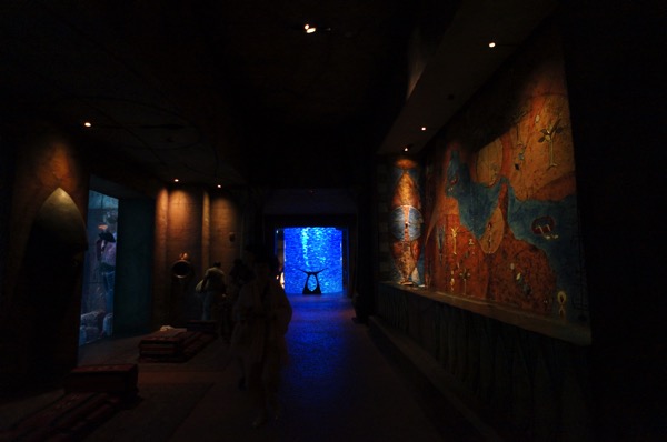 DSC07043.JPG DSC07043