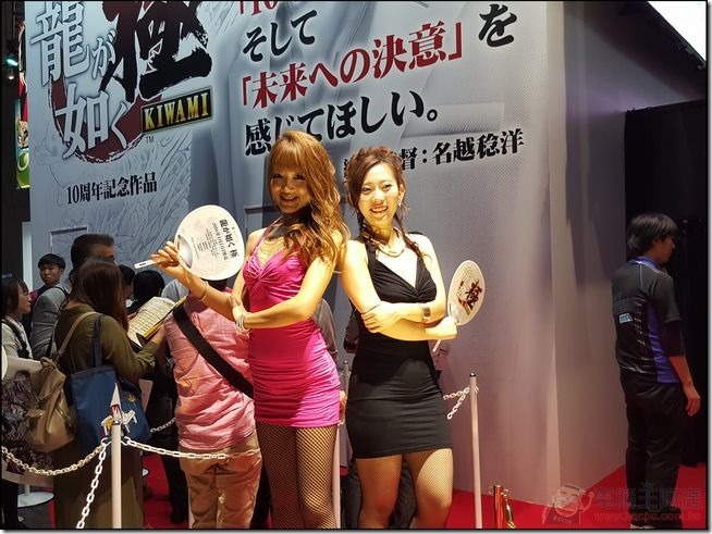 TGS2015-55 TGS2015-55