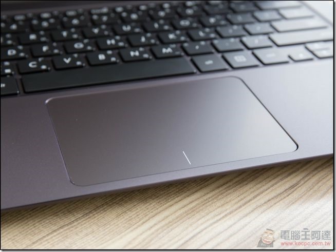 ASUS-UX305-I7-19 ASUS-UX305-I7-19