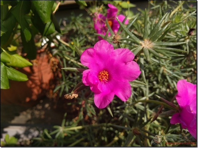 Nexus-6P-Pic-11 Nexus-6P-Pic-11