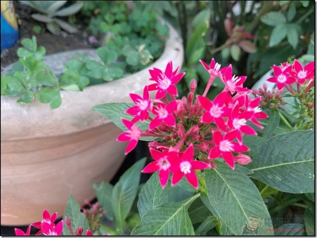Nexus-6P-Pic-13 Nexus-6P-Pic-13