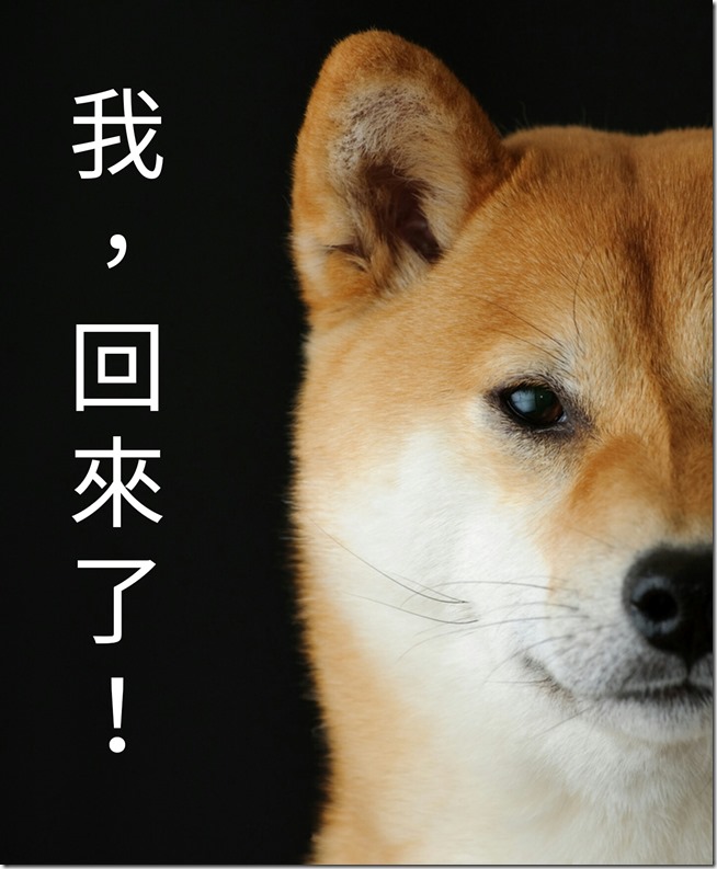 shiba_20160328041752 shiba_20160328041752