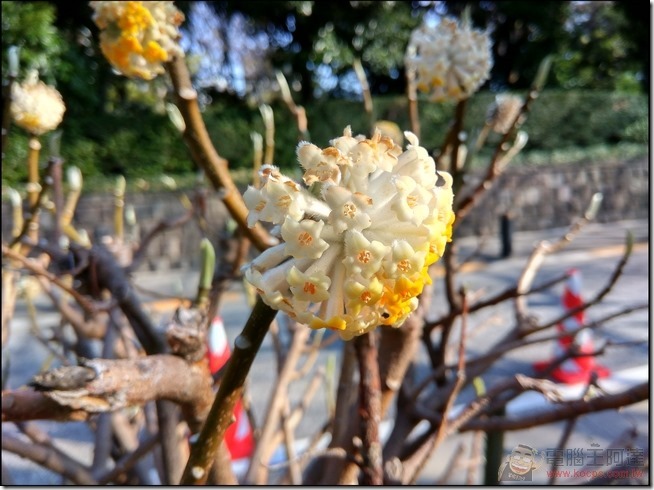 紅米Note3拍照樣張-12 紅米Note3拍照樣張-12