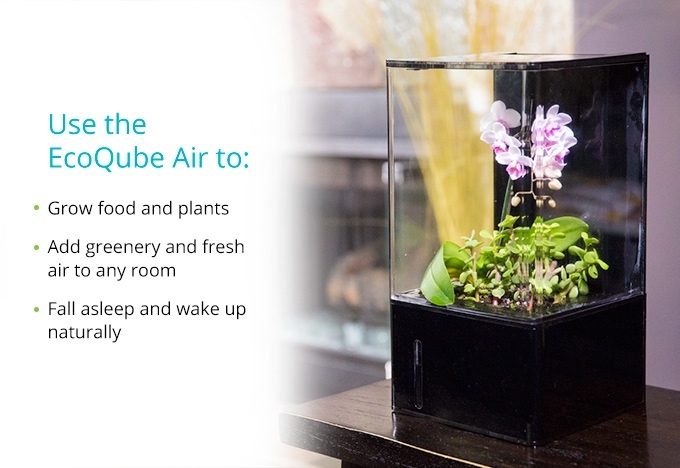 隨時來個森呼吸,桌上型溫室 EcoQube Air 將改變您的生活環境 - 電腦王阿達 e53ca959fd94beccabd18f1fe56f31e7_original