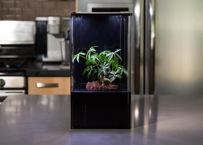 隨時來個森呼吸,桌上型溫室 EcoQube Air 將改變您的生活環境 - 電腦王阿達 1133969abdf9a40481b21da7eb6a72af_original