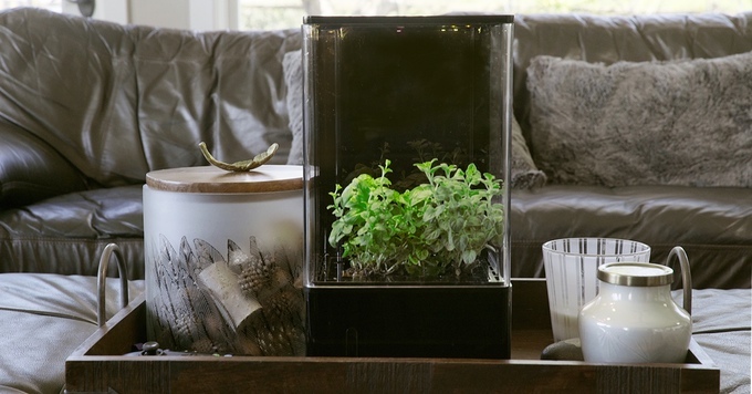 隨時來個森呼吸,桌上型溫室 EcoQube Air 將改變您的生活環境 - 電腦王阿達 fa2821bf1f934274bf92f0ac21c0b5c7_original