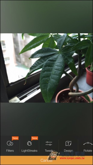 IMG_1858.jpg IMG 1858