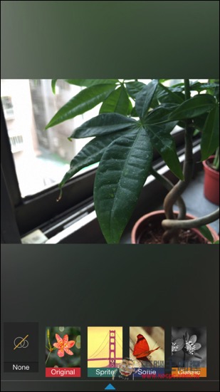 IMG_1859.jpg IMG 1859