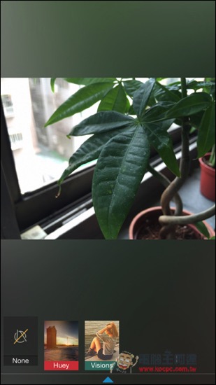 IMG_1860.jpg IMG 1860
