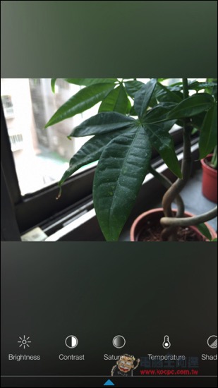 IMG_1861.jpg IMG 1861