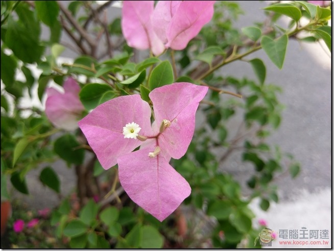 HTC-10-照相-35 HTC-10-照相-35
