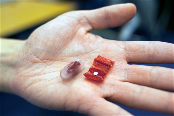 MIT-Microsurgeon-1_0.jpg MIT Microsurgeon 1 0