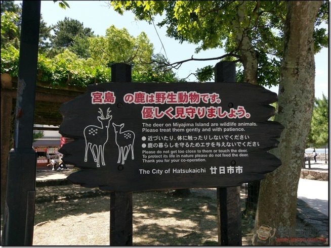 嚴島自由行-14 嚴島自由行-14