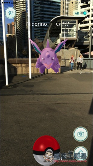 IMG_2753.jpg IMG 2753
