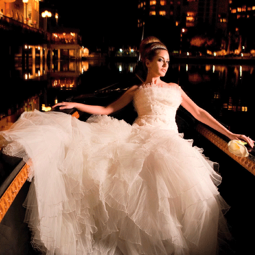 Plotagraph_Weddingdress_500x500 Plotagraph_Weddingdress_500x500