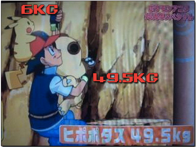 07.jpg 07