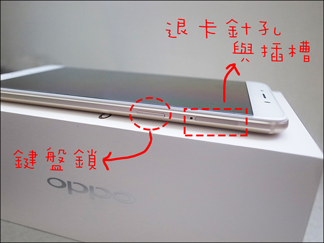R4236544.jpg R4236544