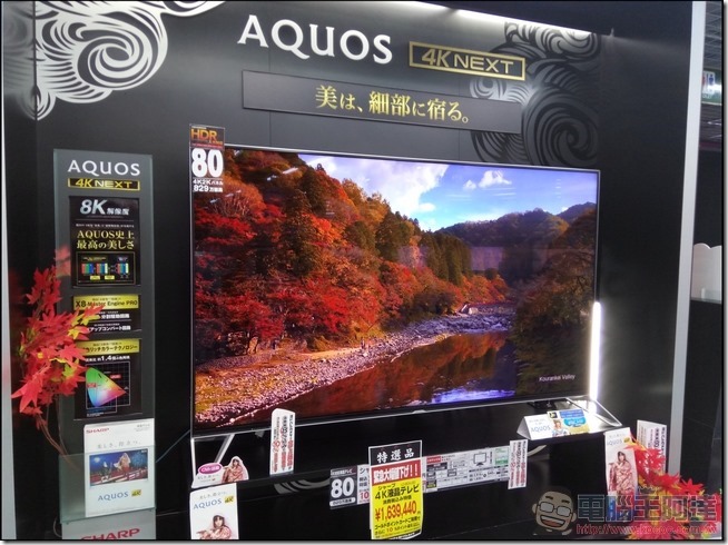 Sharp-Z2-拍照樣張-11 Sharp-Z2-拍照樣張-11