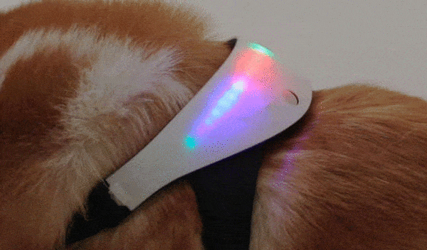 02.gif 02