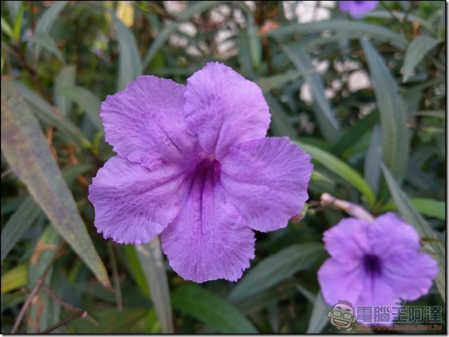 HTC-10-EVO-樣張-08 HTC-10-EVO-樣張-08
