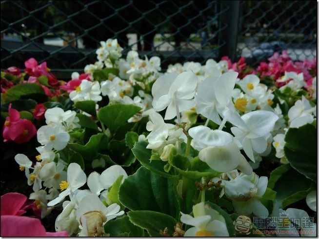 ASUS-ZenFone-3-Max-樣張-14 ASUS-ZenFone-3-Max-樣張-14