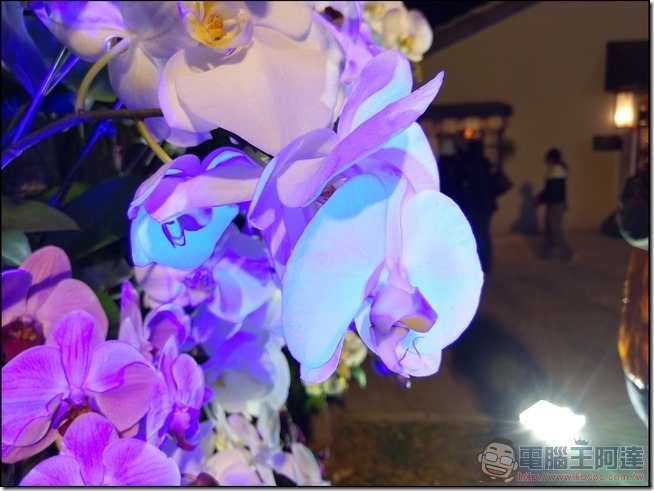 HTC-U-Ultra-樣張-19 HTC-U-Ultra-樣張-19