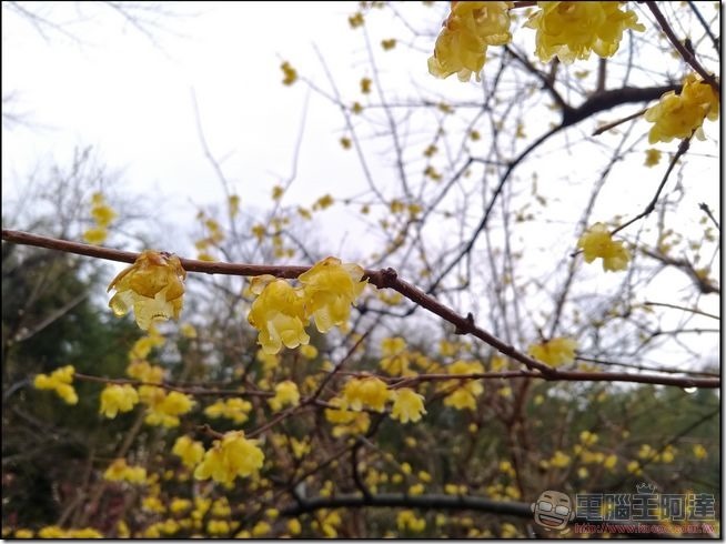P_20170217_121637_vHDR_Auto P_20170217_121637_vHDR_Auto