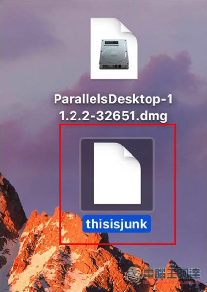 10.jpg 10