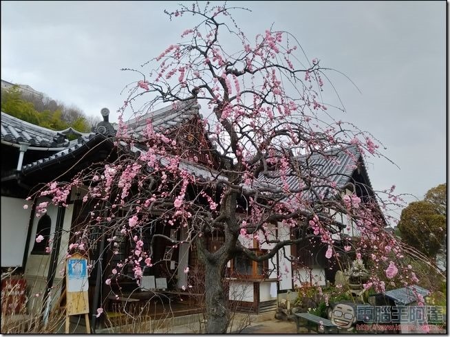 尾道-道後-姬路自由行-07 尾道-道後-姬路自由行-07