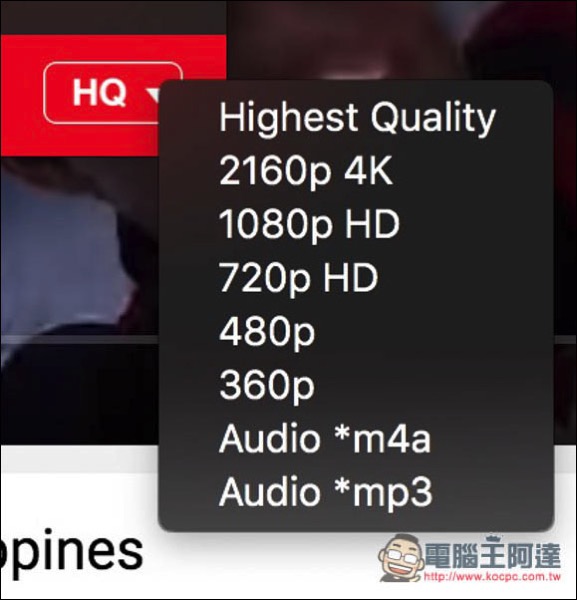 11.jpg 11
