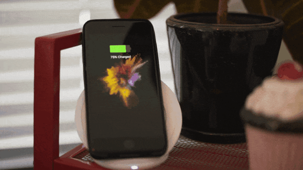 5.gif 5