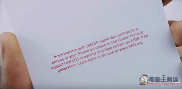 19.jpg 19