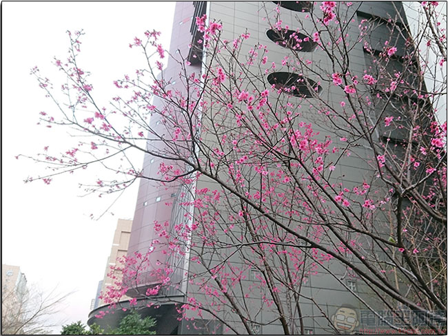 Sony Xperia XZs 動手玩與快速實拍測試,Motion Eye 相機模組捕捉精彩生活一瞬間 - 電腦王阿達 Sony Xperia XZs 動手玩與快速實拍測試,Motion Eye 相機模組捕捉精彩生活一瞬間 - 電腦王阿達