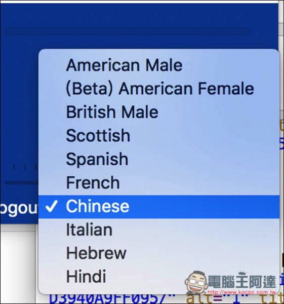 2.jpg 2