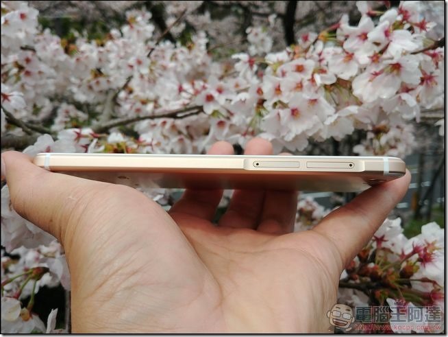 Sharp-Z3-開箱與外觀-10 Sharp-Z3-開箱與外觀-10