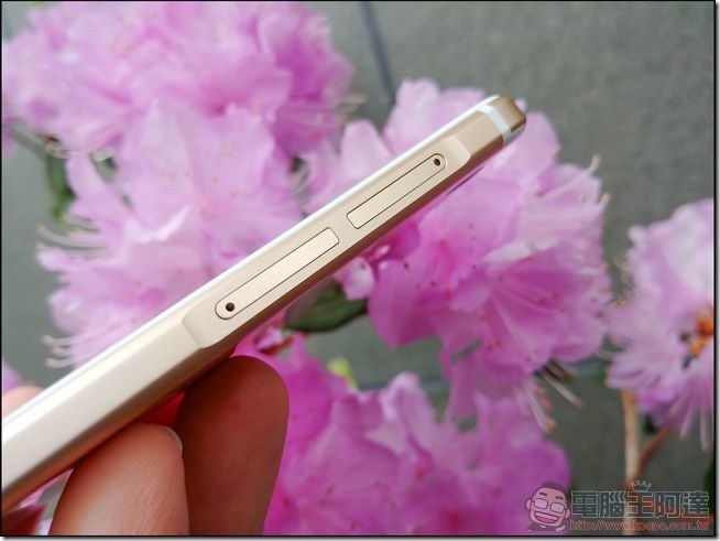 Sharp-Z3-開箱與外觀-11 Sharp-Z3-開箱與外觀-11