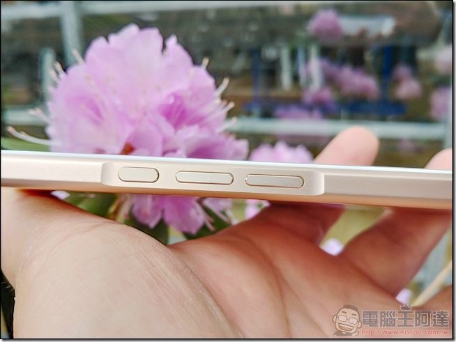 Sharp-Z3-開箱與外觀-13 Sharp-Z3-開箱與外觀-13
