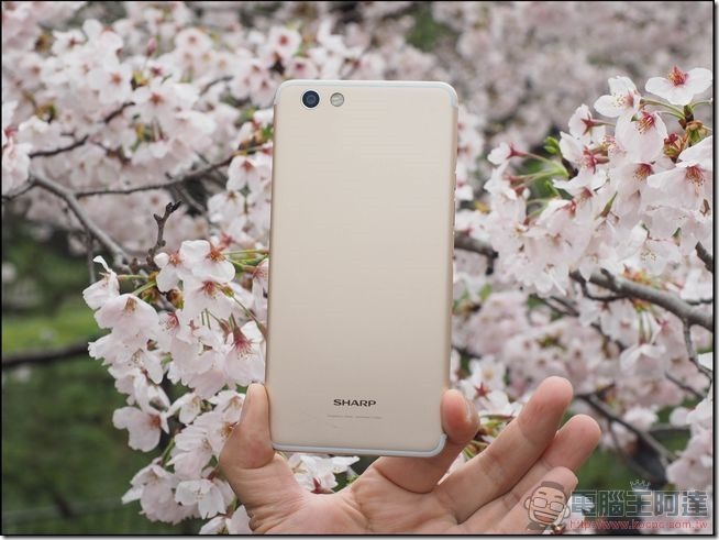 Sharp-Z3-開箱與外觀-14 Sharp-Z3-開箱與外觀-14