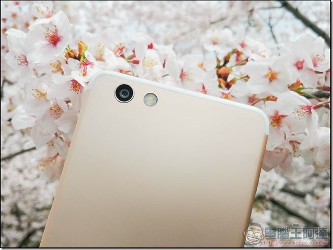 Sharp-Z3-開箱與外觀-15 Sharp-Z3-開箱與外觀-15
