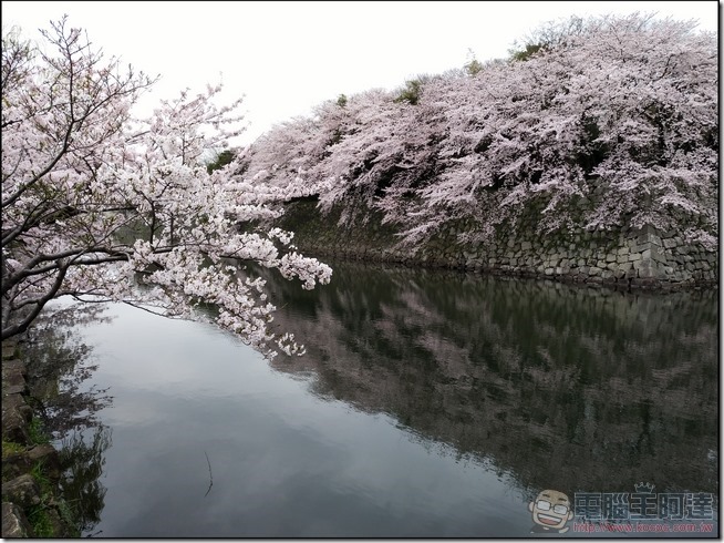 Sharp-Z3-拍攝樣張-03 Sharp-Z3-拍攝樣張-03