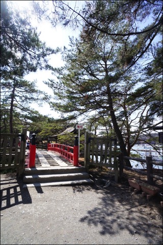 DSC02802.jpg DSC02802