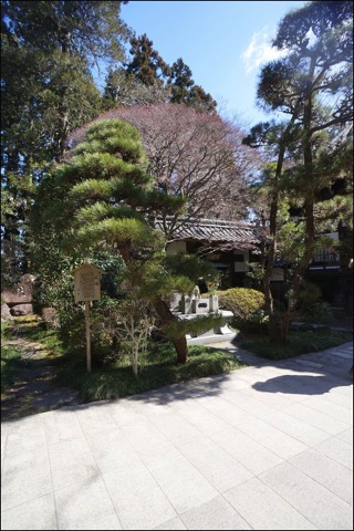 DSC03010.jpg DSC03010