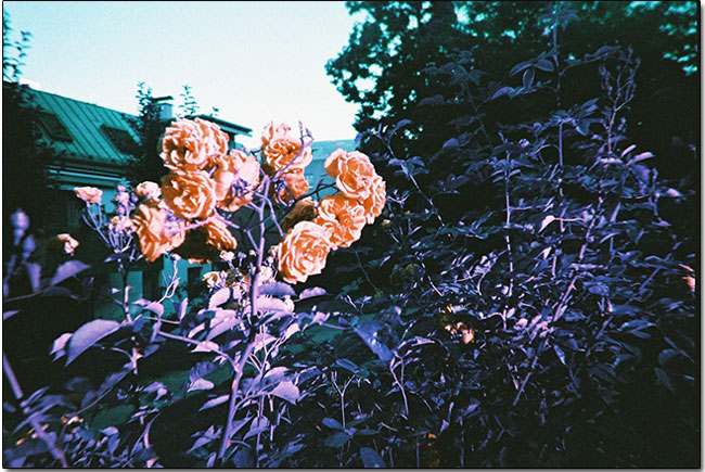 Lomography Simple Use 上市,擁有 LOMO 迷人色調同時還能回味即可拍底片機 - 電腦王阿達 Lomography Simple Use 上市,擁有 LOMO 迷人色調同時還能回味即可拍底片機 - 電腦王阿達