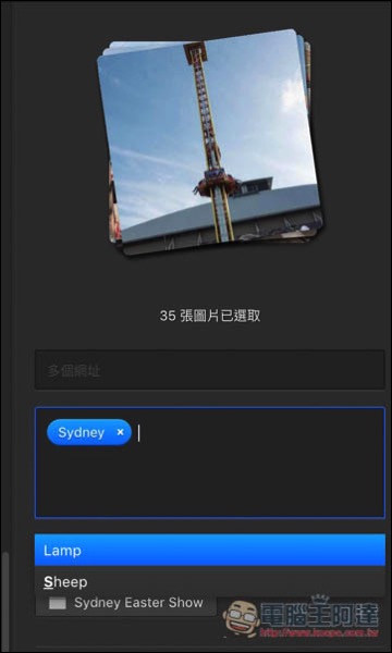 16.jpg 16