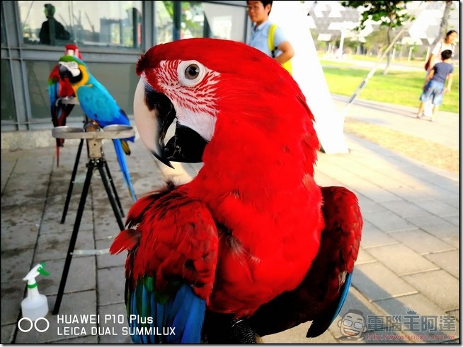 HUAWEI P10 Plus 樣張 -17 HUAWEI P10 Plus 樣張 -17
