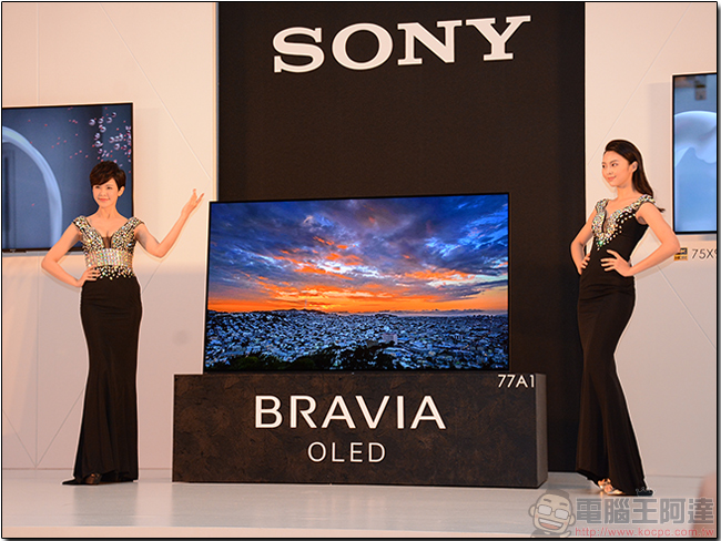 SONY BRAVIA SONY BRAVIA